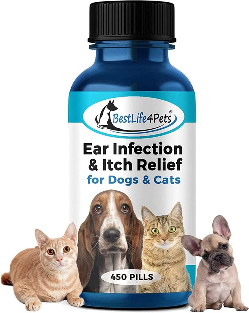 Ear Infection