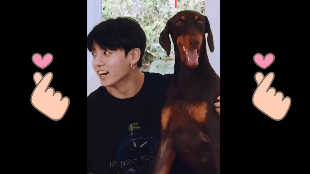 Jungkook dog