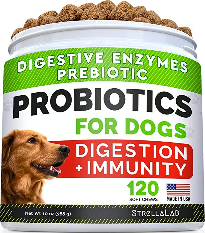 indigestion in dogs priobitics