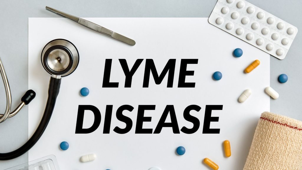 Protecting Your Dog from Lyme Disease: What You Need to Know