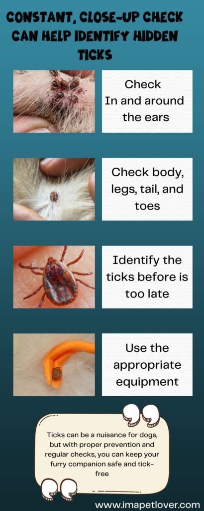 ticks on dogs infographic