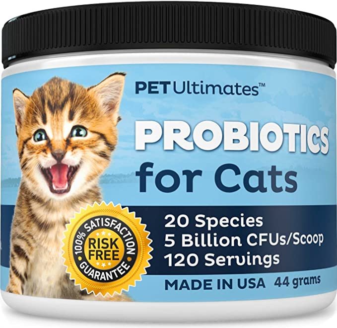 cat is getting hairballs Cat probiotics