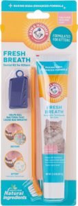 cat dental brush