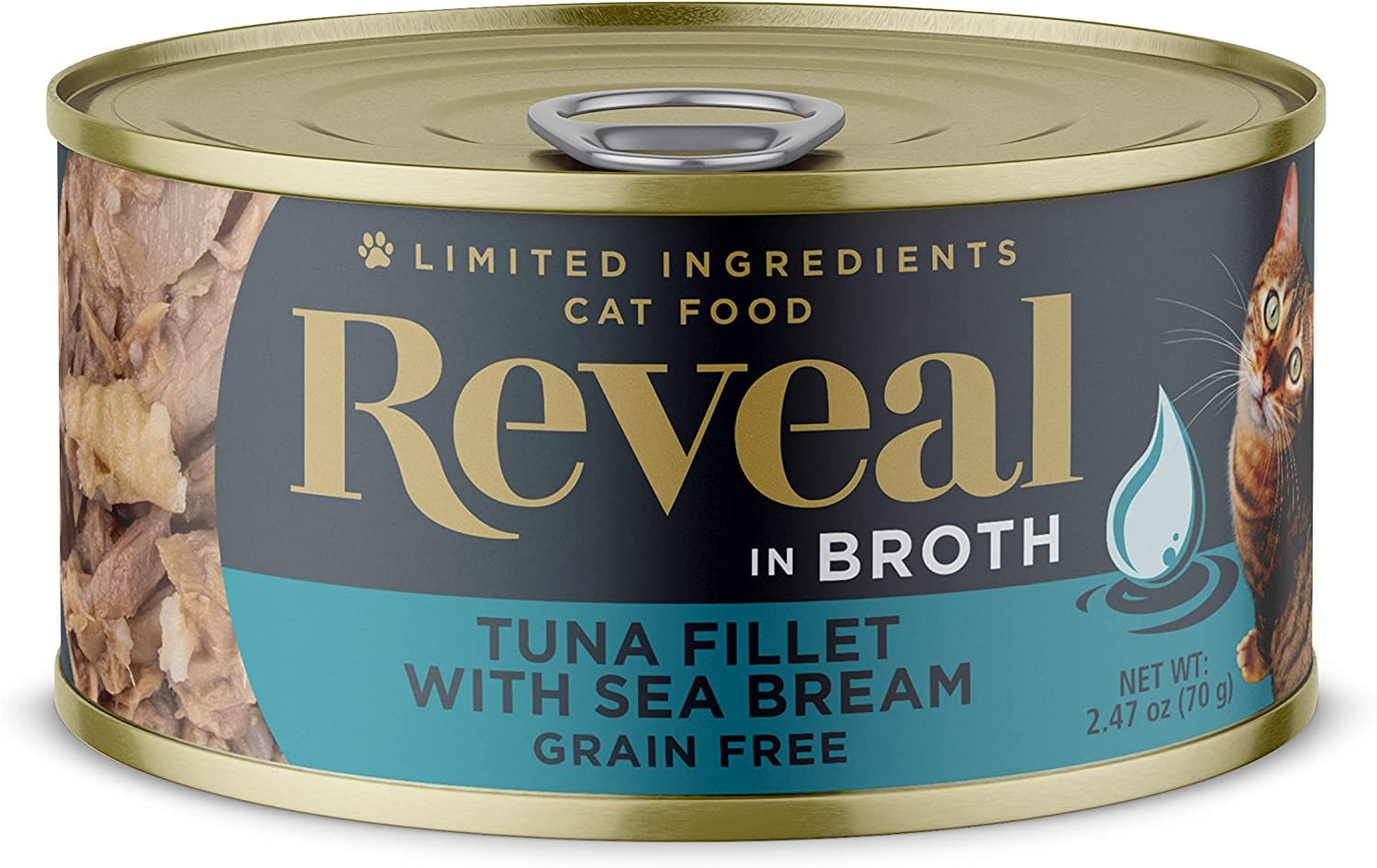 is wet food bad for cats teeth review 2