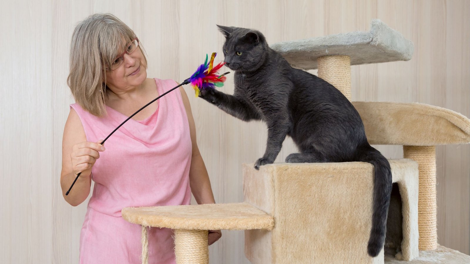 revealing-the-secret-do-cats-mimic-human-behavior