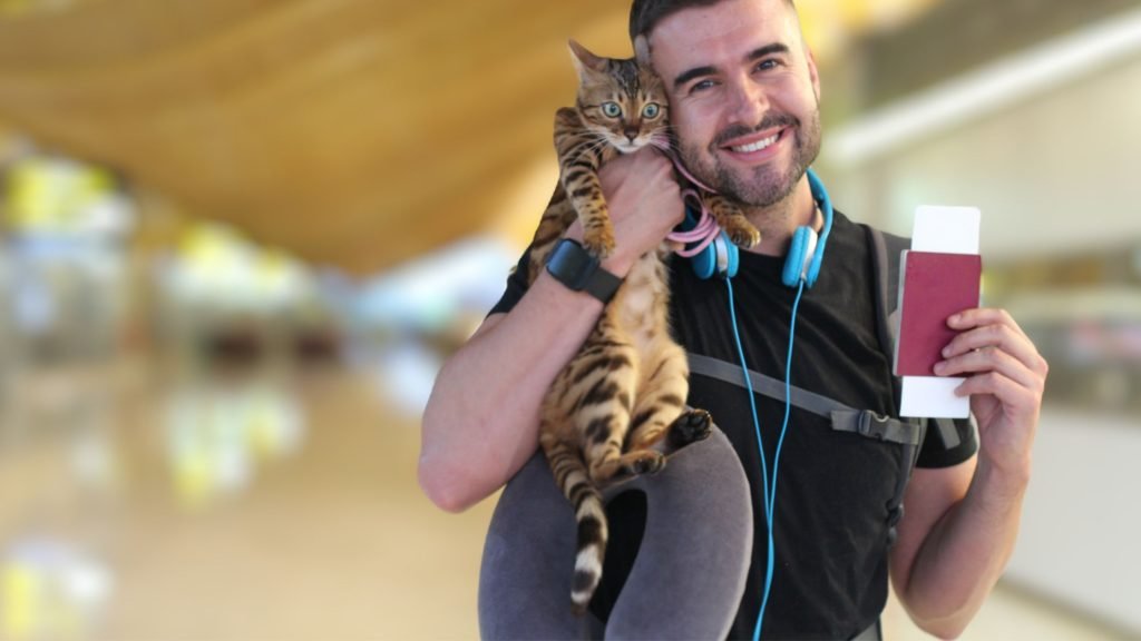 Tips for Traveling with Your Cat