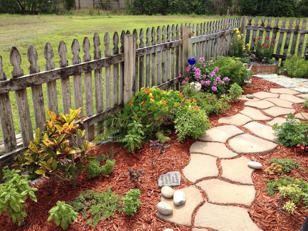 dog friendly xeriscape backyard