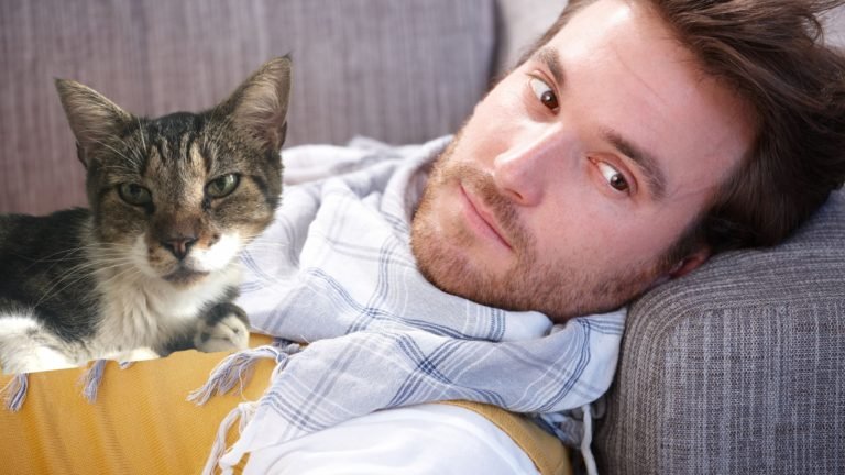 Why Do Cats Lay on Your Chest?: Decode Feline Love