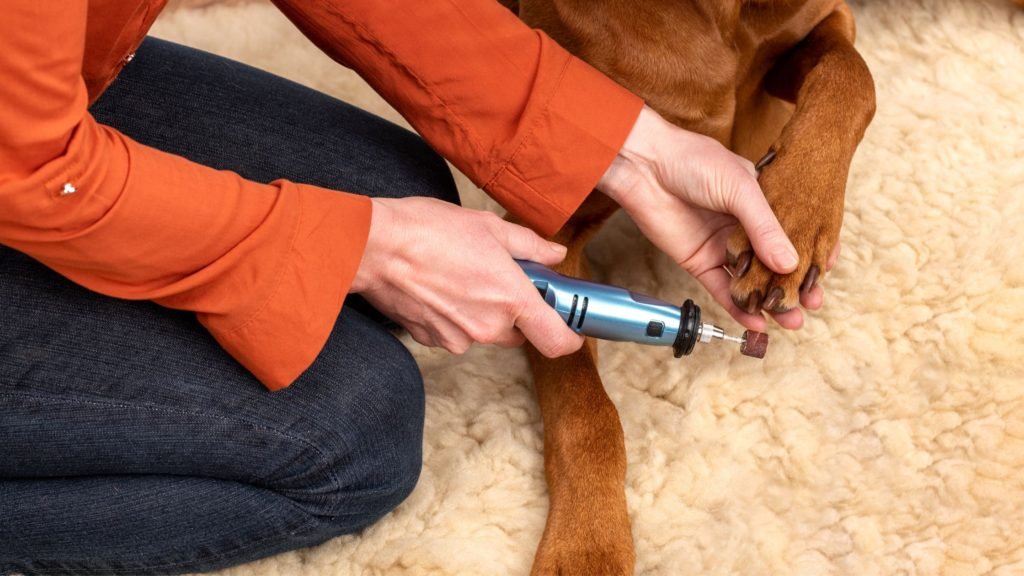 Dog Nail Grinder