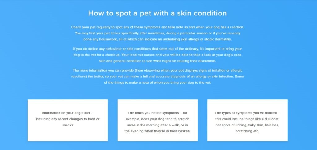 What to Put on a Dog Sore How to spot a pet with a skin condition