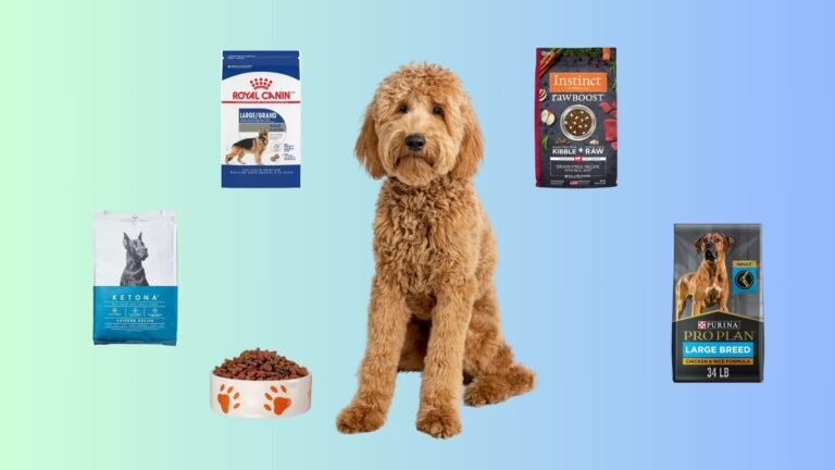 Insider Tips for the Perfect Goldendoodle Diet